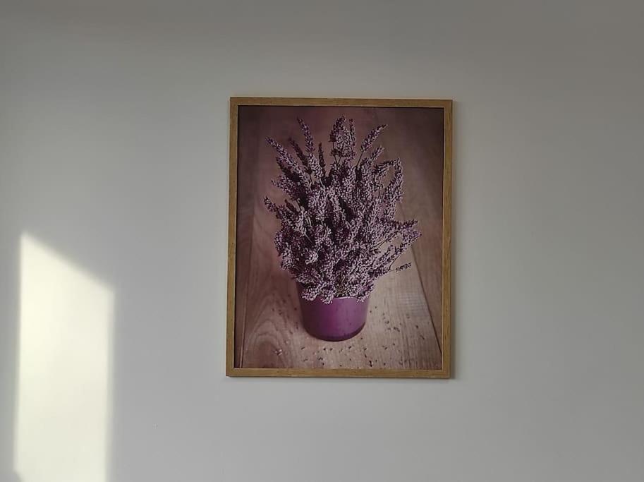 ***Santorini Apartament*** - 40M² ✓ Rybnik  Dış mekan fotoğraf