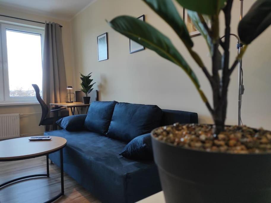***Santorini Apartament*** - 40M² ✓ Rybnik  Dış mekan fotoğraf