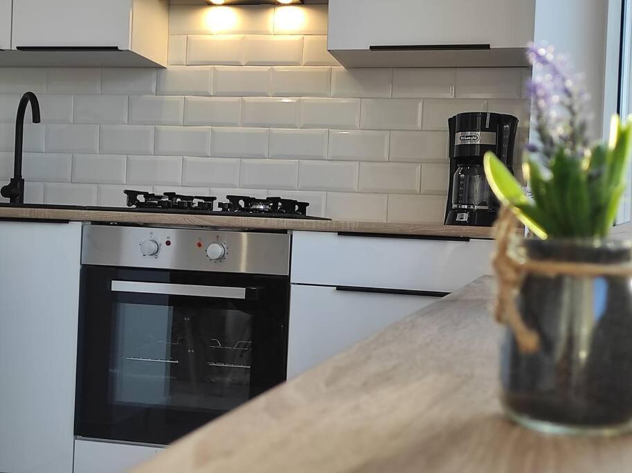 ***Santorini Apartament*** - 40M² ✓ Rybnik  Dış mekan fotoğraf